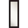 20" x 54" Non-Beveled Portico Espresso Wood on The Door Mirror - Amanti Art: Over Door, Full Body, Long Rectangle Mirror