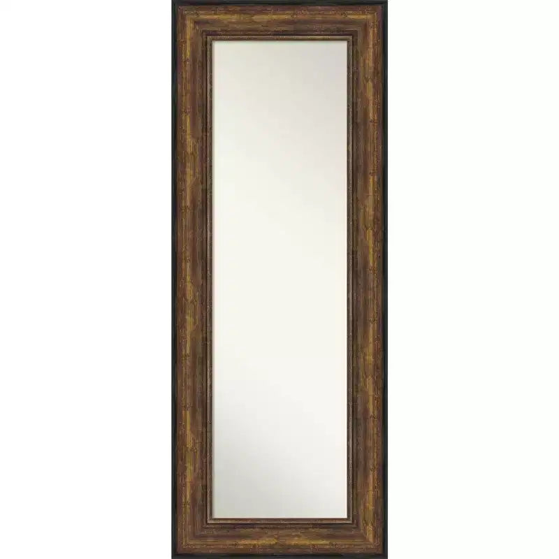 22" x 56" Non-Beveled Ballroom Bronze Full Length on The Door Mirror - Amanti Art: Includes Hanging Hardware
