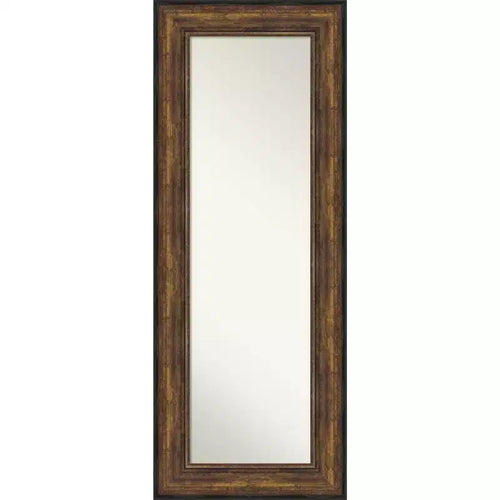 22" x 56" Non-Beveled Ballroom Bronze Full Length on The Door Mirror - Amanti Art: Includes Hanging Hardware